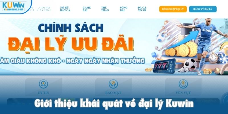 Giới thiệu khái quát về đại lý Kuwin